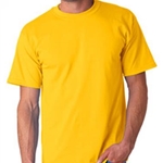 St. Rita School Adult Gold or Ash Gray Tee - $15.00