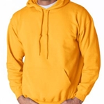 St. Rita School Adult Gold or Ash Gray Hooded Sweat Shirt - $34.00