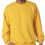 St. Rita School Adult Gold or Ash Gray Crew Neck Sweat Shirt - $24.00