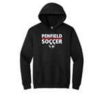 Adult HeavyBlend Hooded Sweatshirt - $42.00