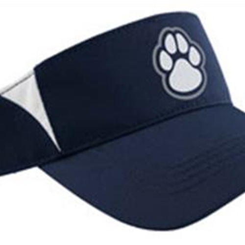 Pittsford Panthers Baseball Adult Navy/White or Pink/White Visor