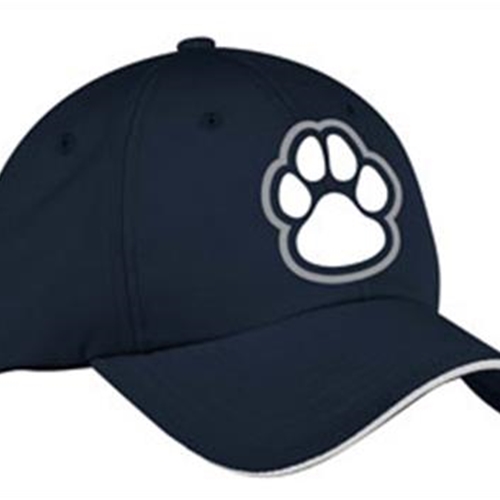 Pittsford Panthers Baseball Richardson Navy Baseball Hat