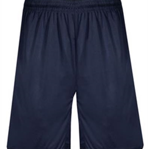 Pittsford Sutherland Baseball Adult Navy Shorts