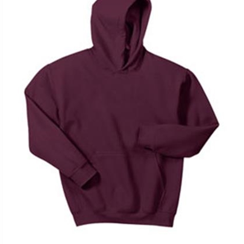 Siena Catholic Academy Youth Heavy Blend Hoodie